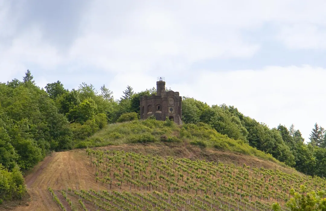 Alembra - Wein Style Hotel-1