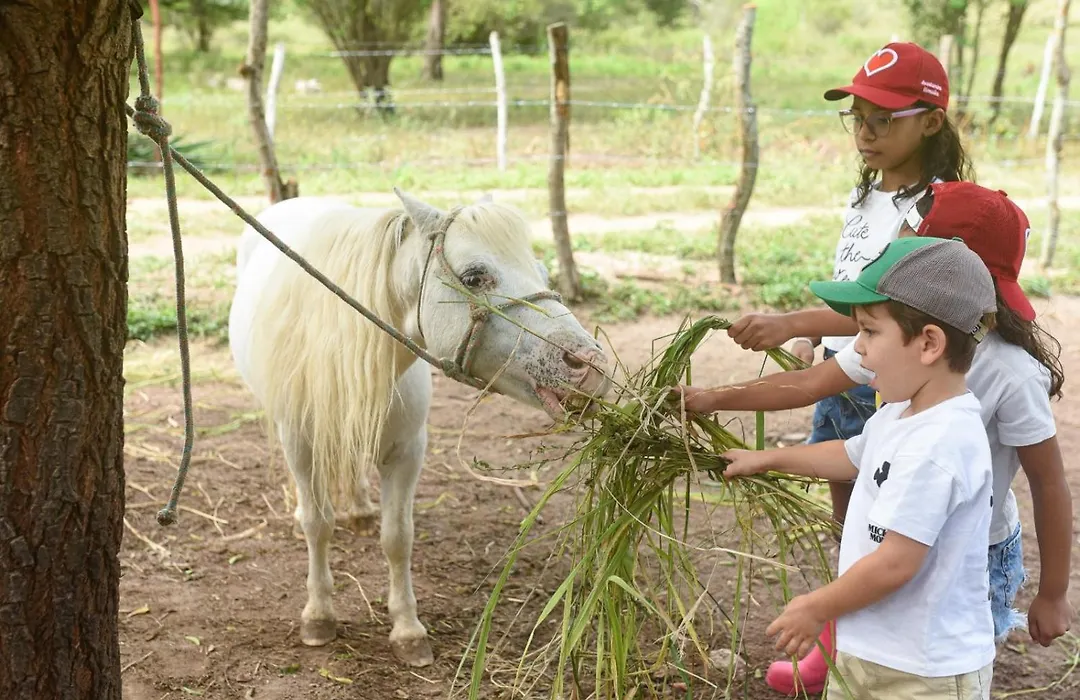 Pousada Fazenda Santa Fe-1