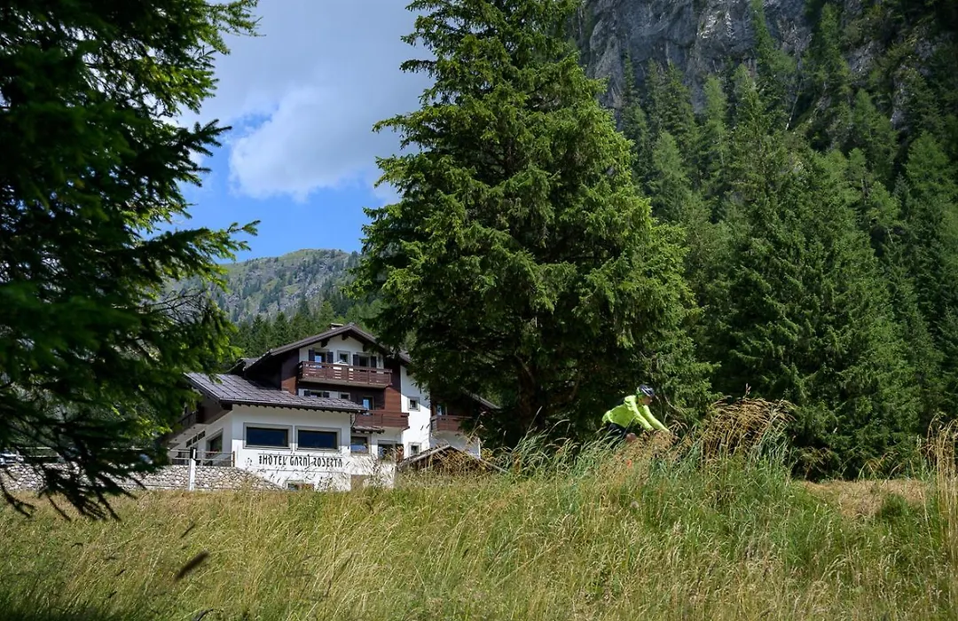 Hotel Garni Roberta-1