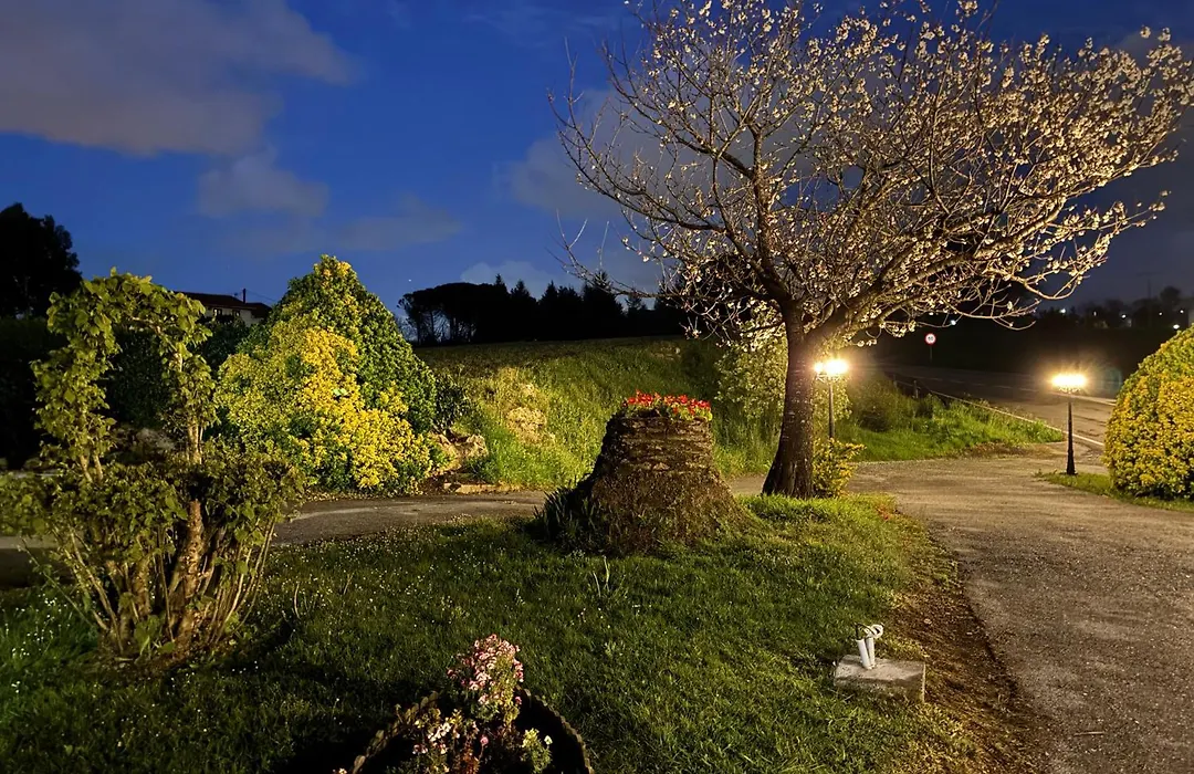 Posada El Jardin-1