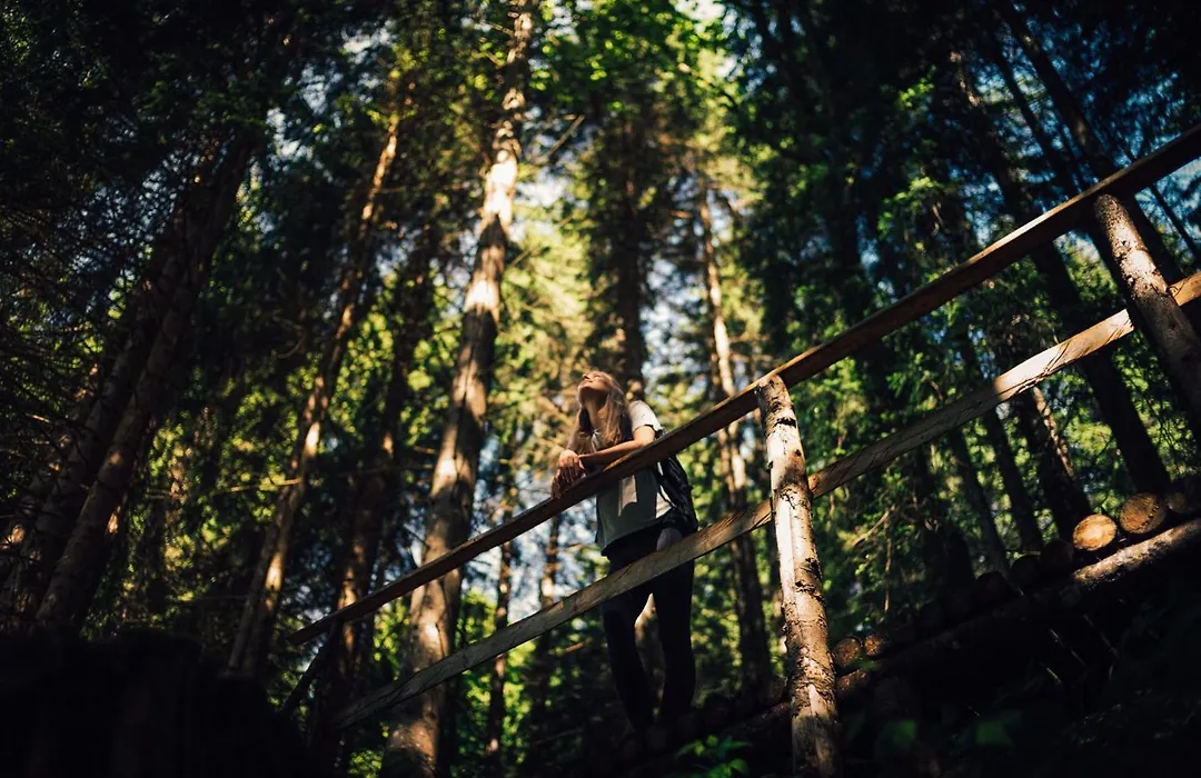 Torghele'S Wald & Fluh-1