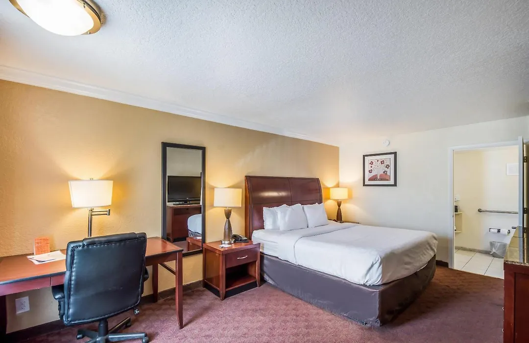 Clarion Inn & Suites Central Clearwater Beach-1