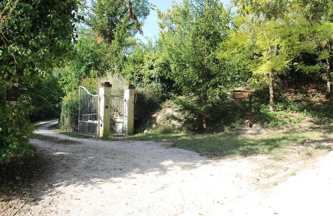 Campo Del Mare-1
