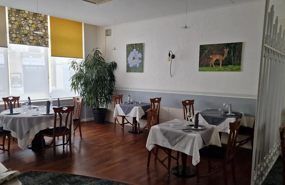 Logis Hôtel Le Lion d'Or-1