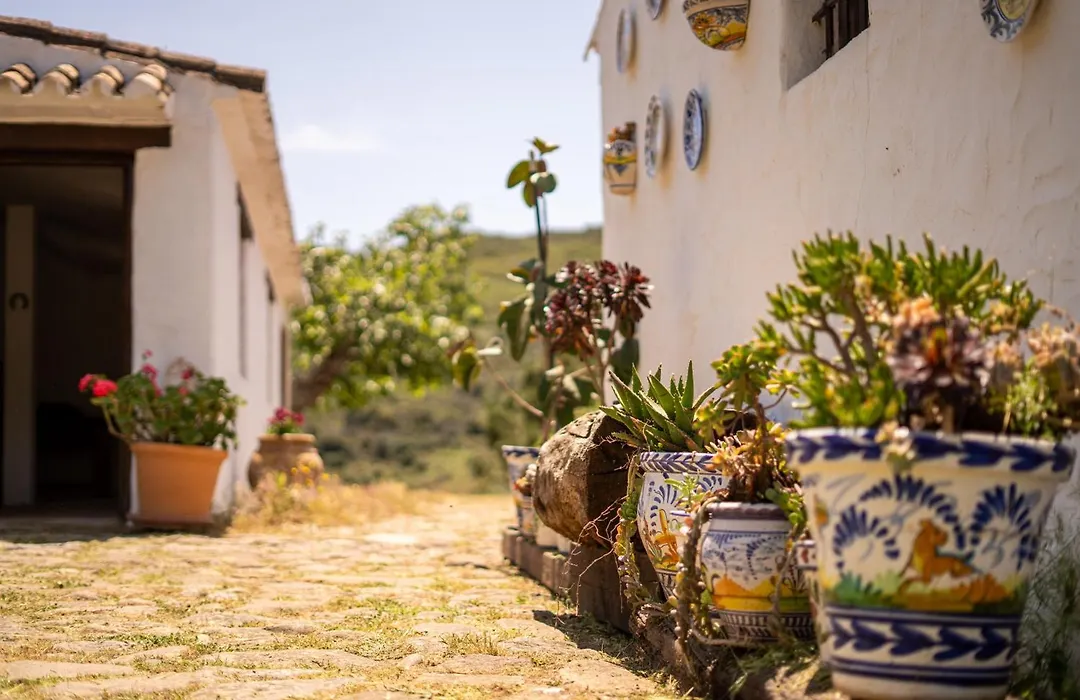 Finca Santa Teresa, Casa Granada-1