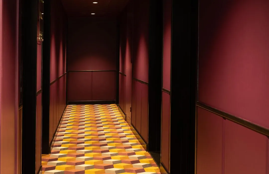 Hôtel Diana Dauphine-1