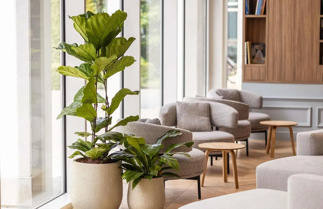 Novotel Brugge Centrum-1