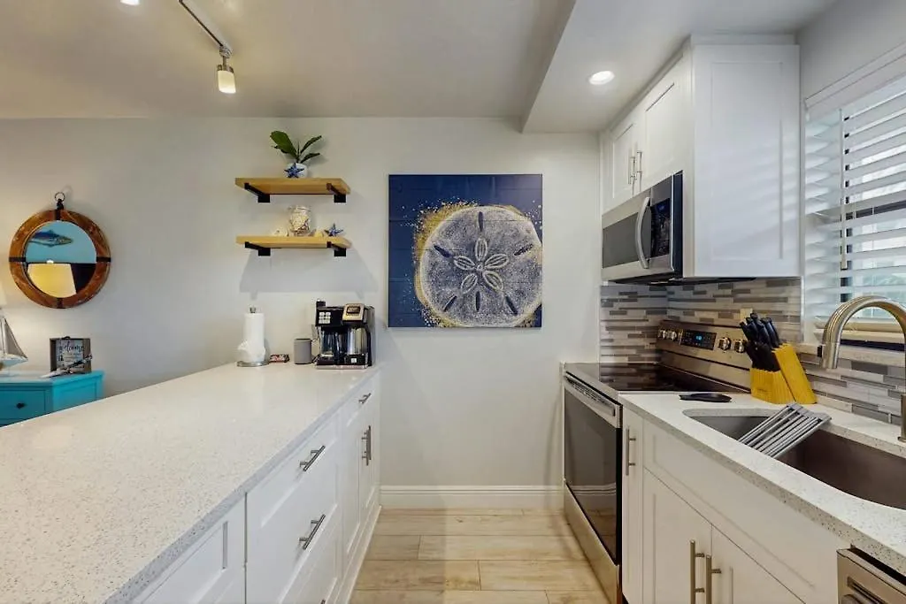 Sand Dollar-1