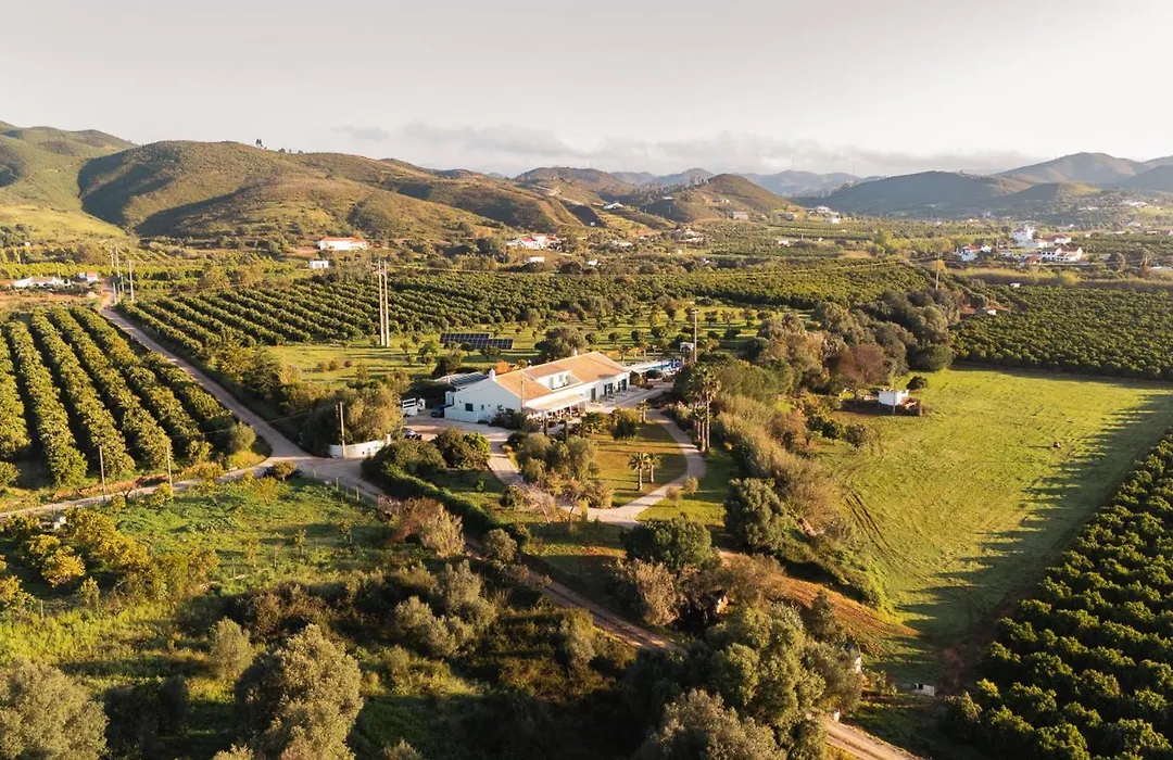 Quinta Da Luz - A Luxury Boutique B&B-1
