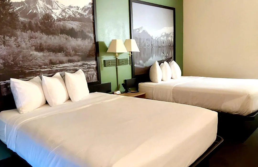 Hotel Salmon-1
