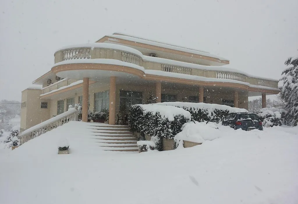 Punto Verde-1
