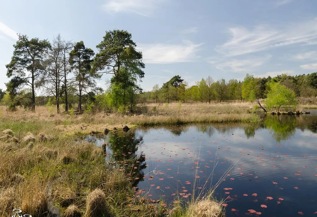De Roermondse Beleving-1