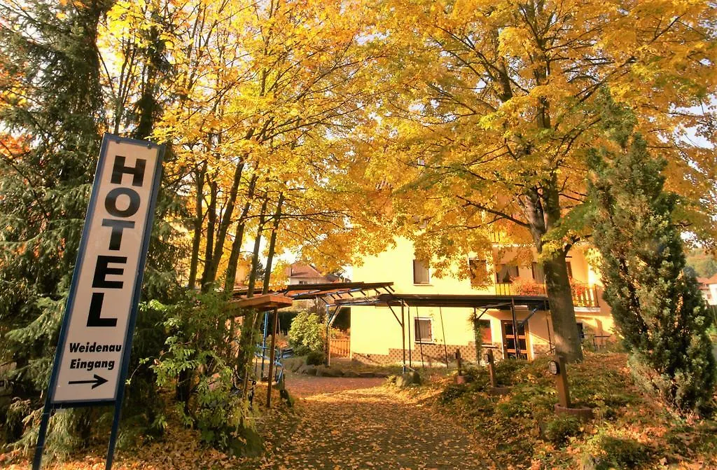 Hotel Weidenau-1