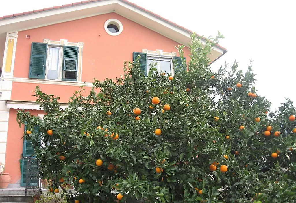 Le Clementine B&B-1
