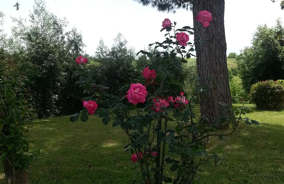 La Finestra Sul Cortile-1