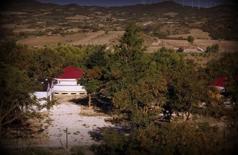 Campo de Reyes-1