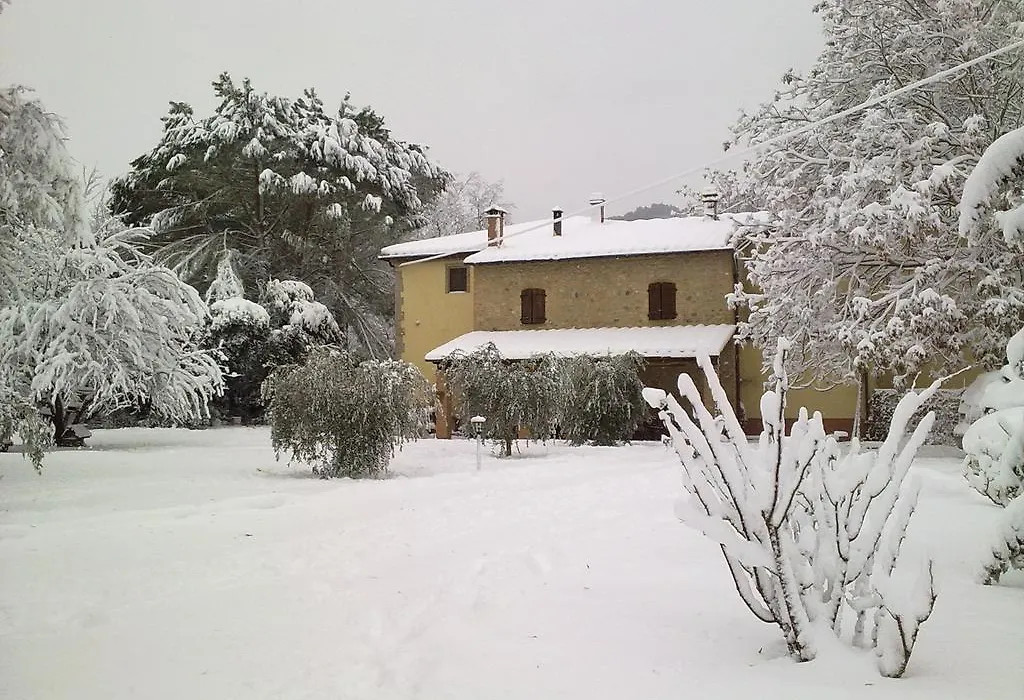 Podere Pian dei Gelsi-1