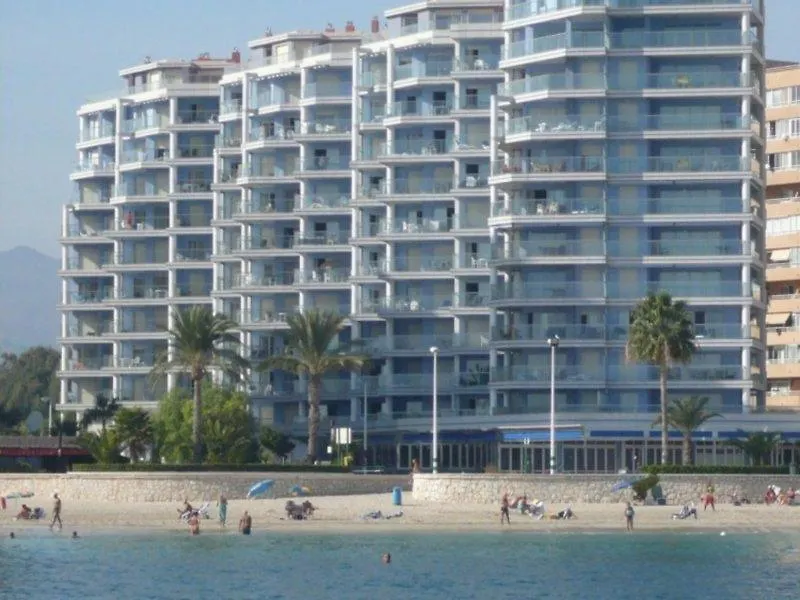 Hipocampos-1