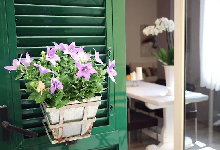 B&B Casa Trucchi-1