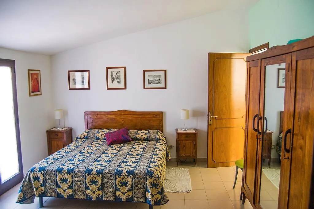B&B Cactus-1