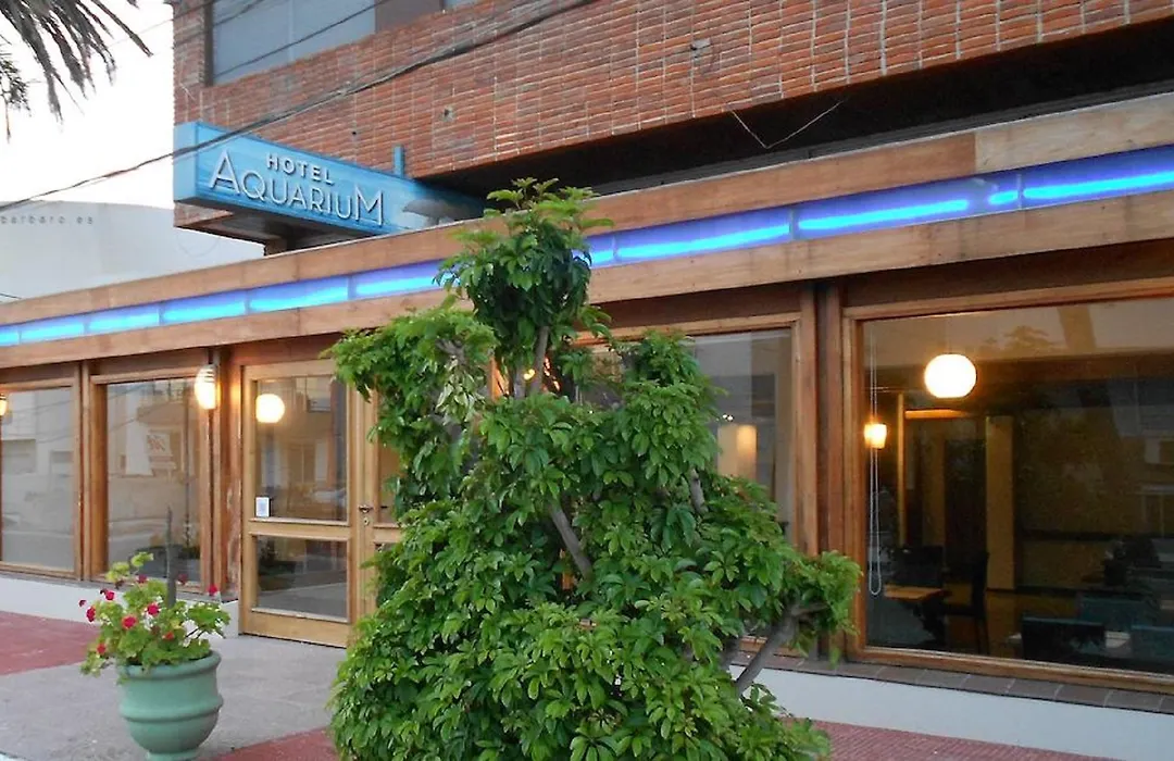 Aquarium-1