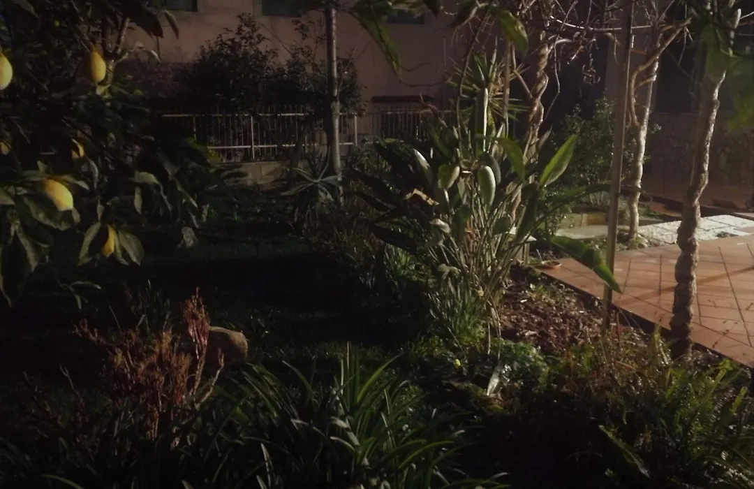 Aloha House-1
