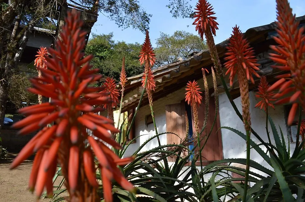 A Casinha Pequenina-1