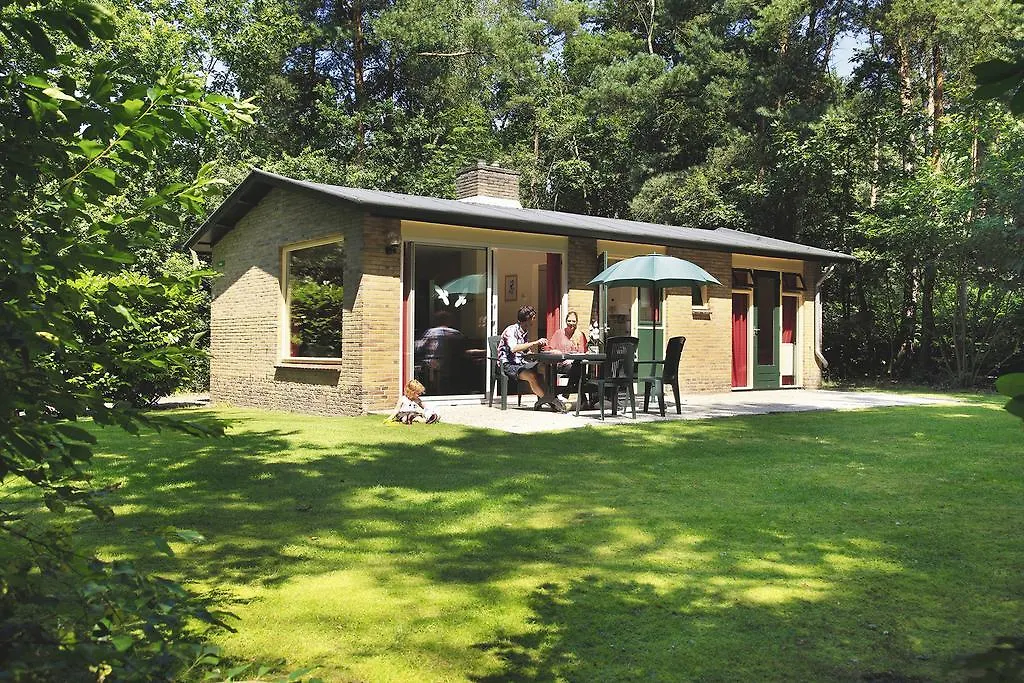 De Lindenberg-1