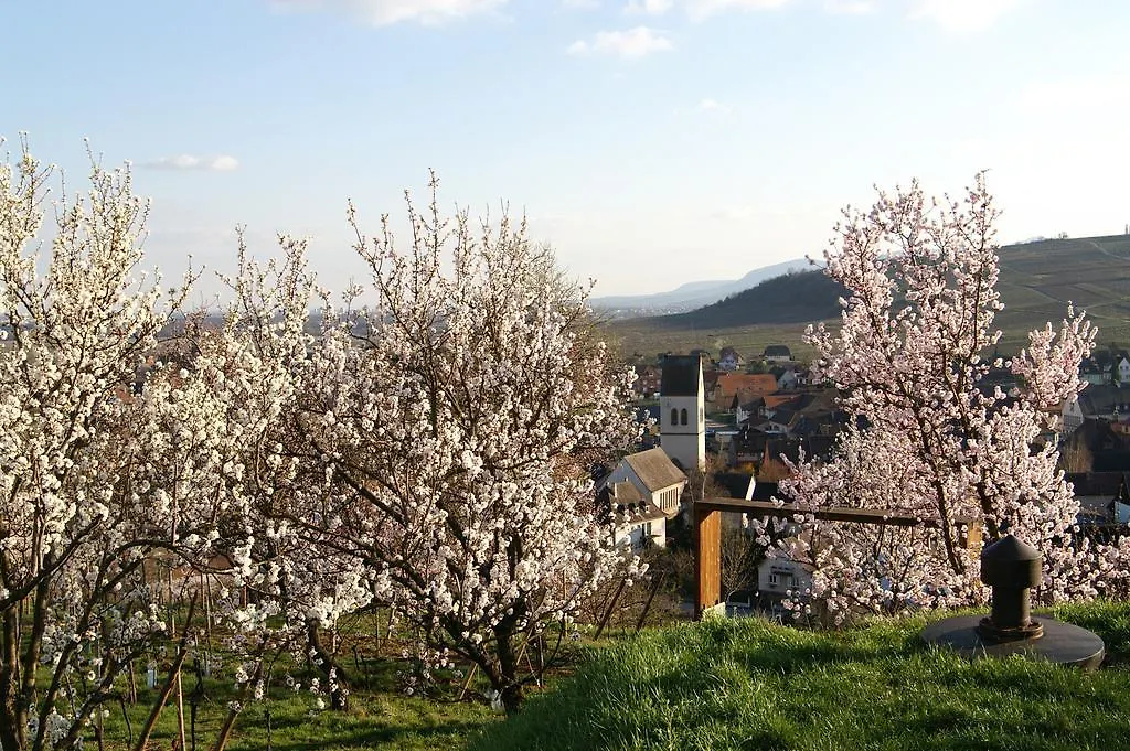 Hostel - Le Mittel-1