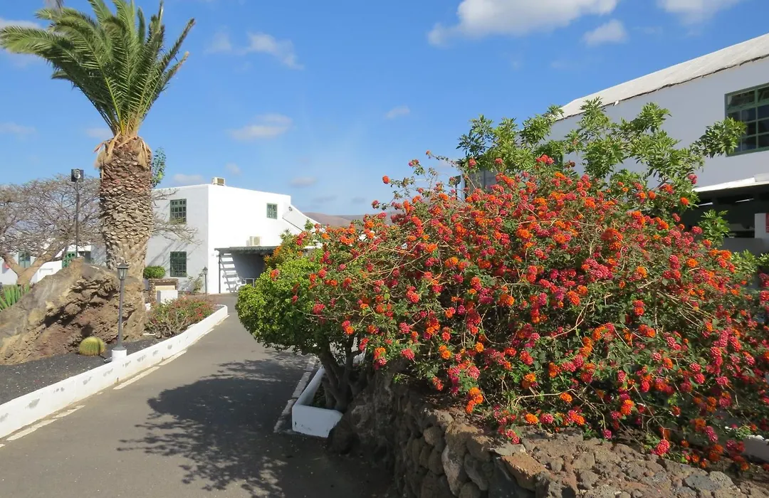 Casas Heddy, Well-Being Resort-1