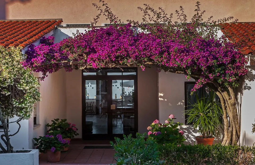 Drago Residence-1