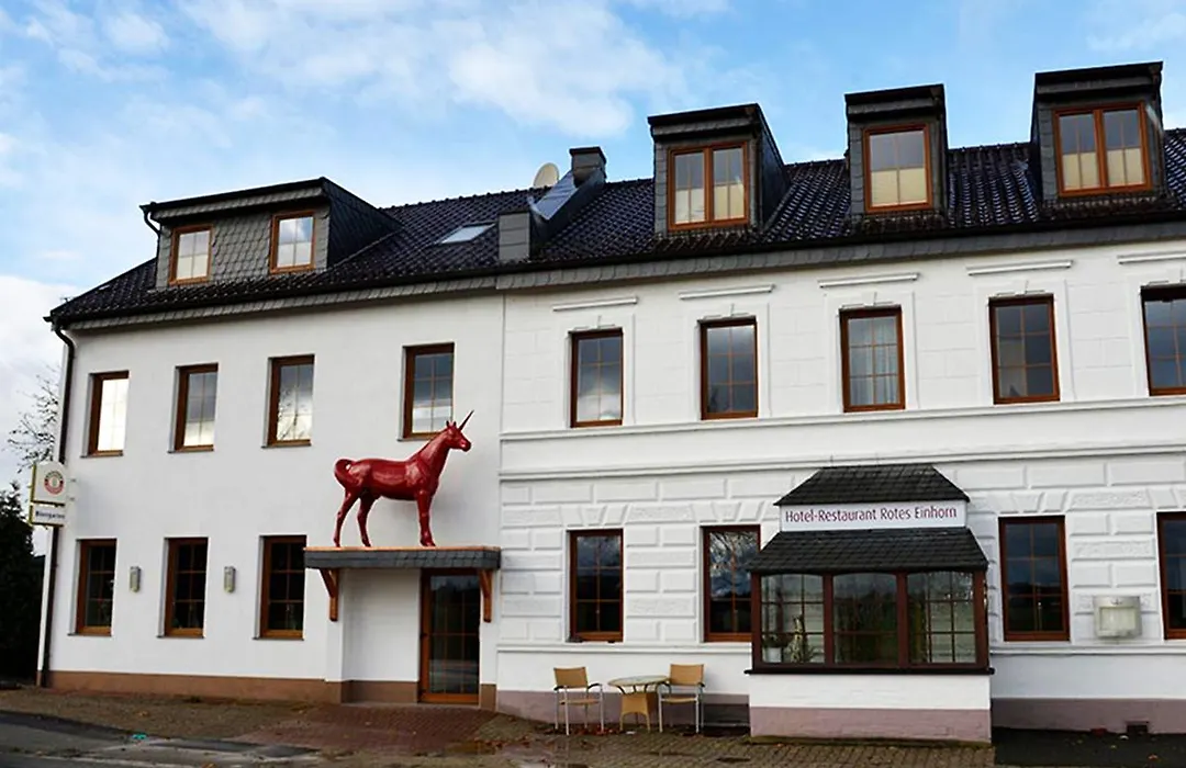 Hotel-Restaurant Rotes Einhorn Düren *** Superior-1