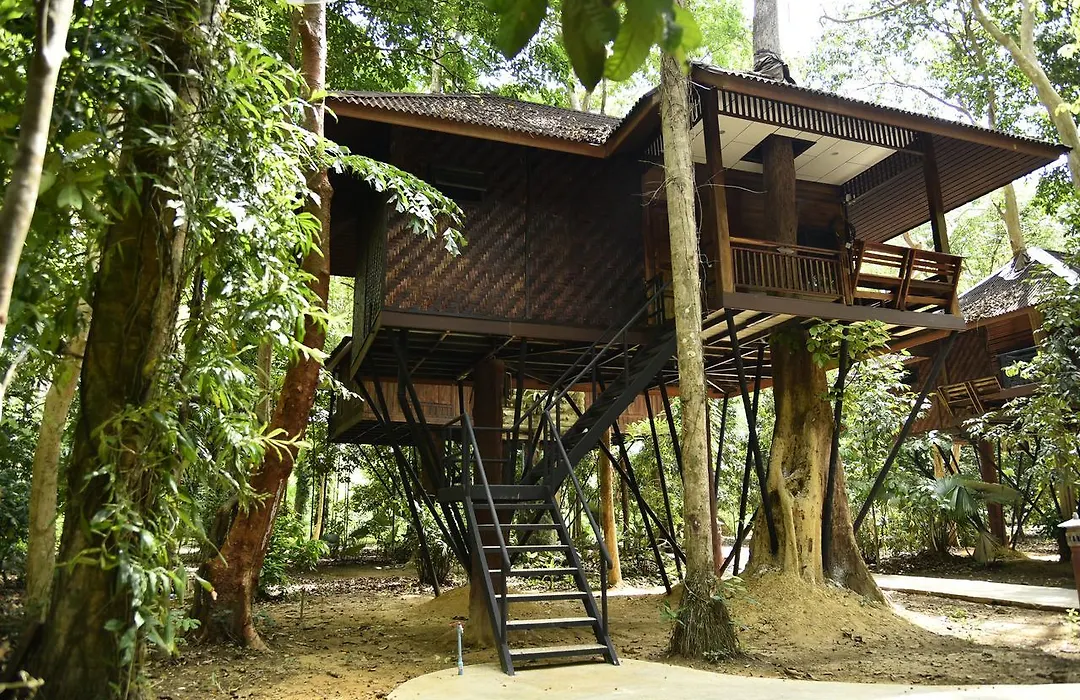 Khao Sok Nature Resort-1