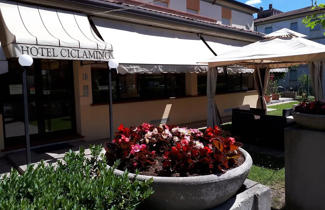 Hotel Ciclamino-1
