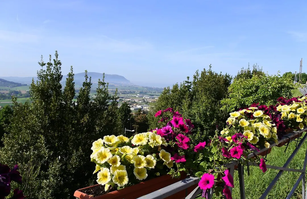 Hotel Loreto-1