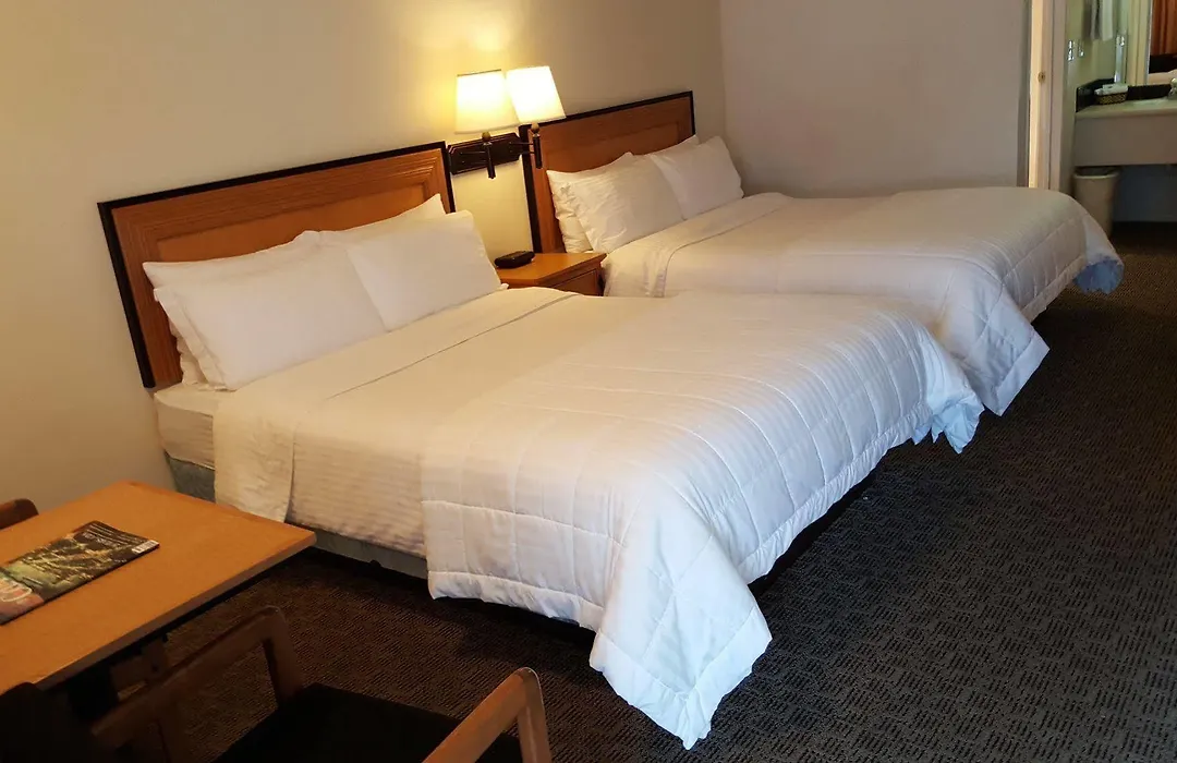 Japan House Suites-1