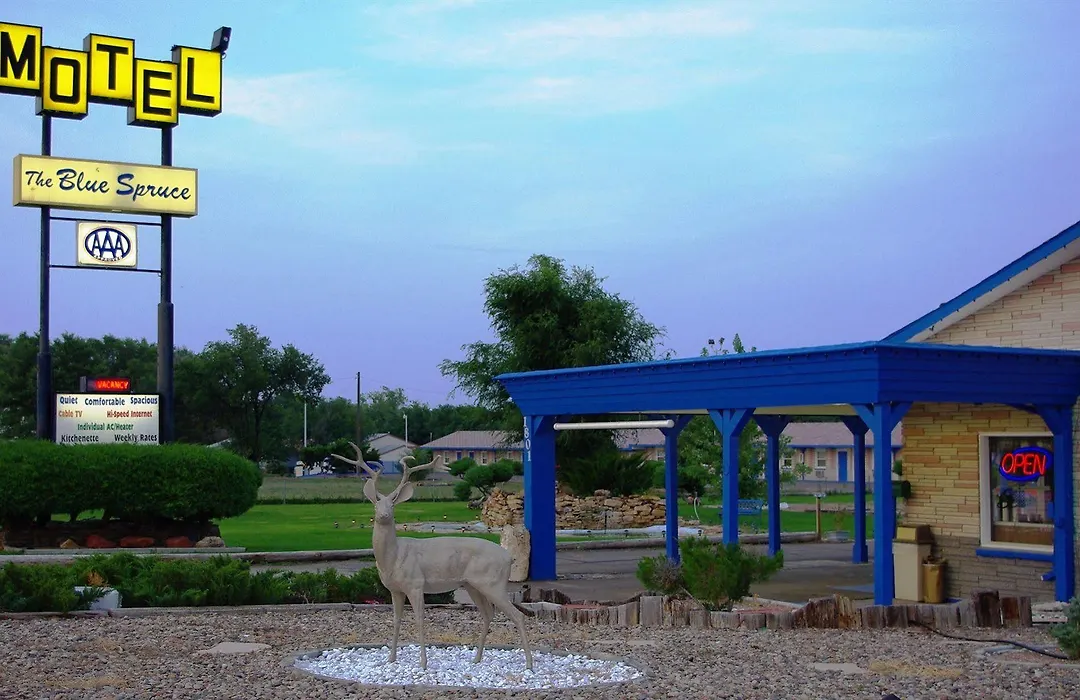 Blue Spruce Motel-1