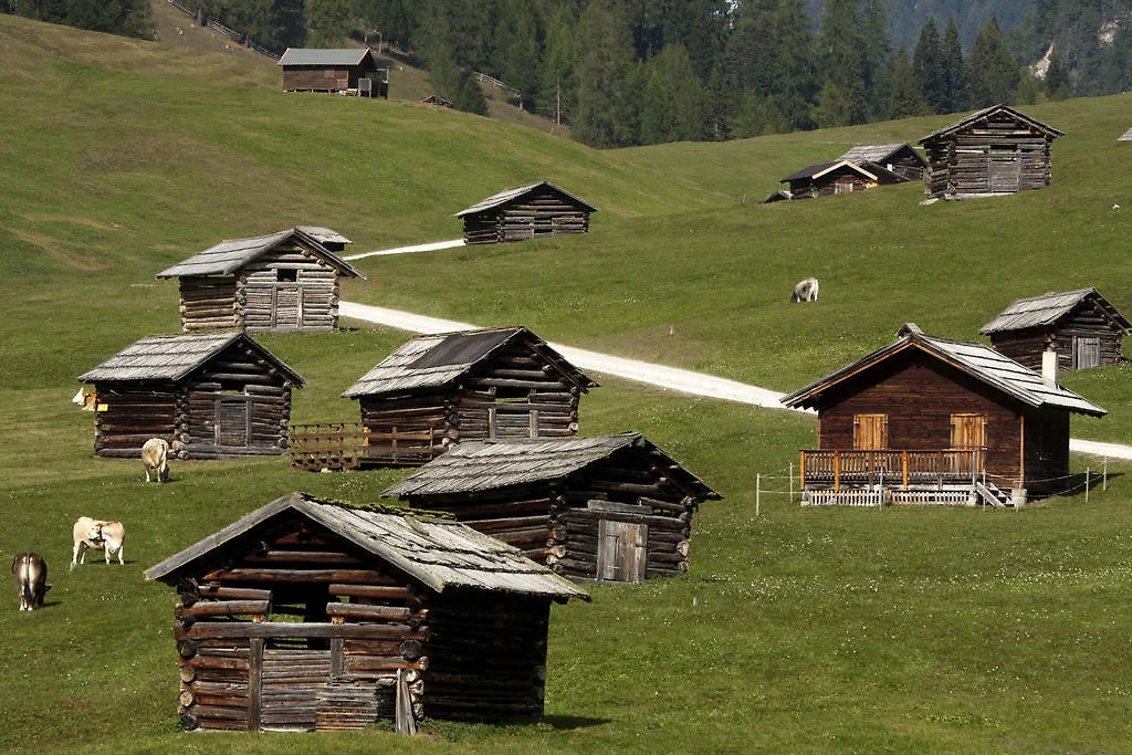 Hotel Edelweiss-1