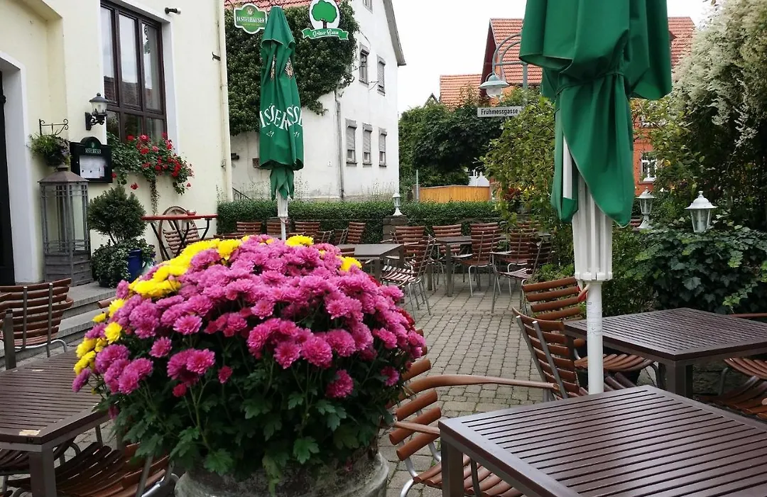 Hotel-Landgasthof Grüner Baum - Dittigheim-1