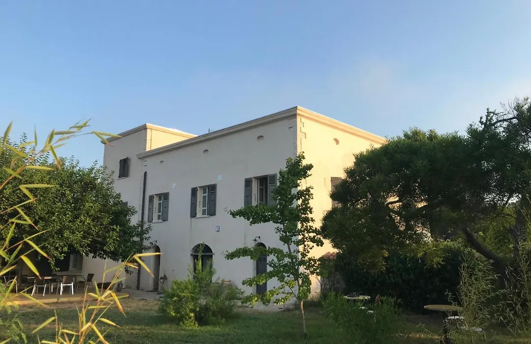 A Loghja Di Cavallo Morto-1