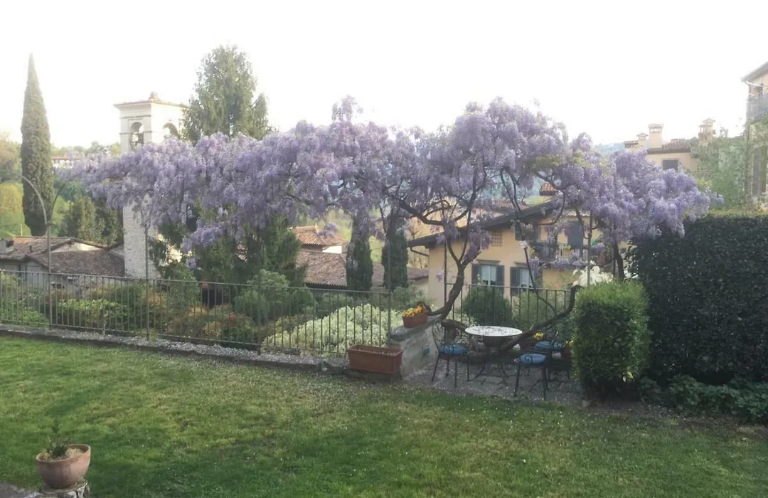 B&B Entro Le Mura-1