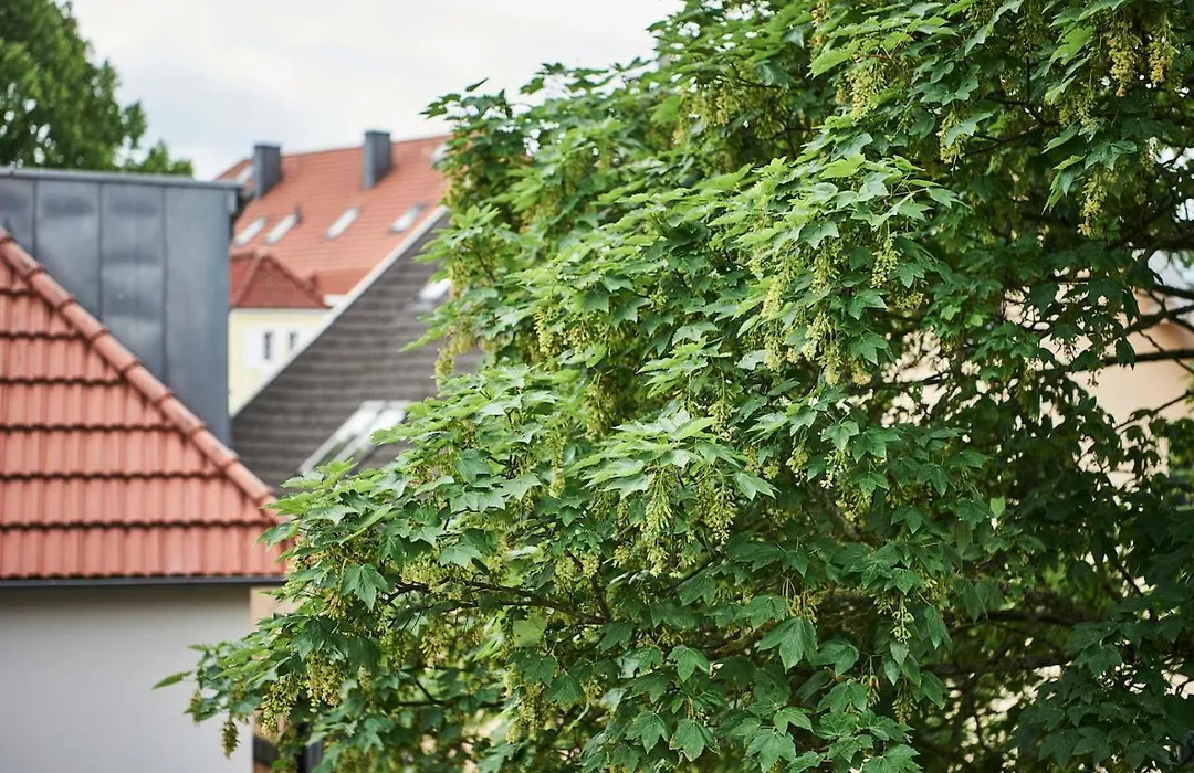 Boardinghome Oldenburg-1