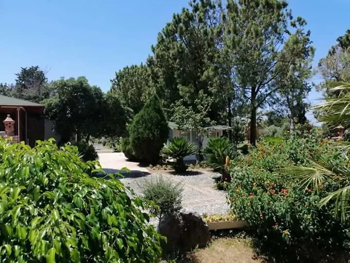 Affittacamere Villa Brazzano-1