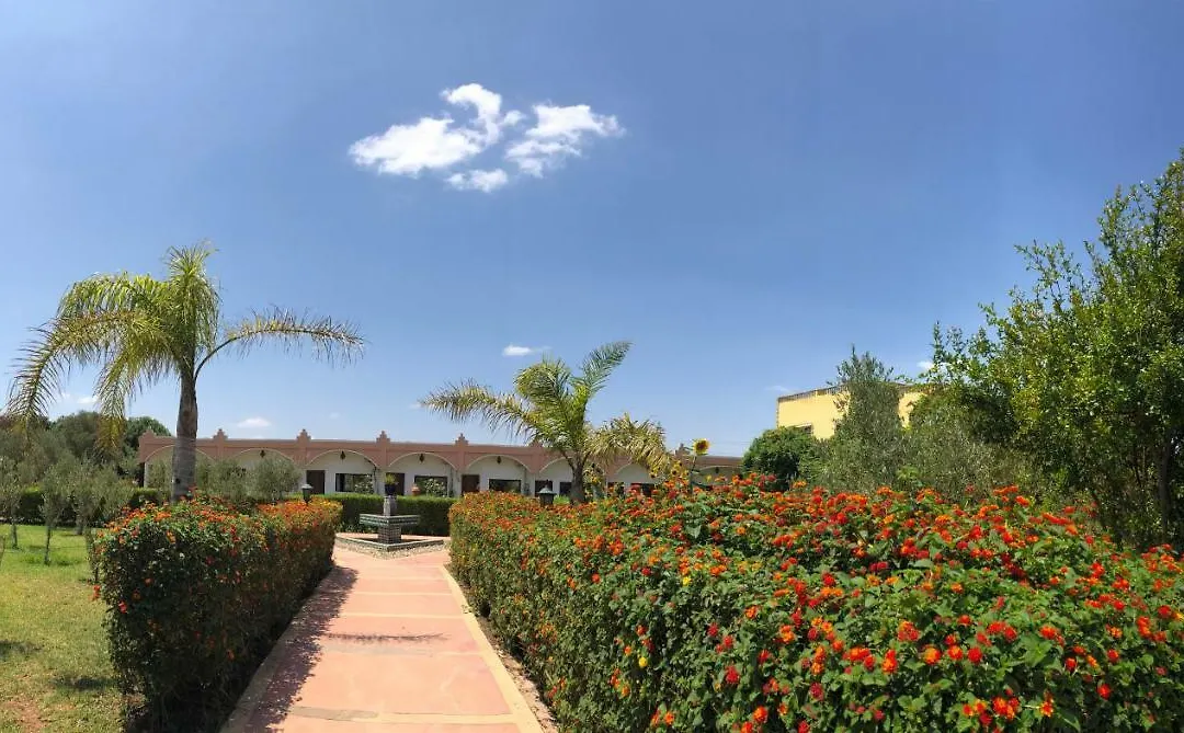 Riad Hamdani-1