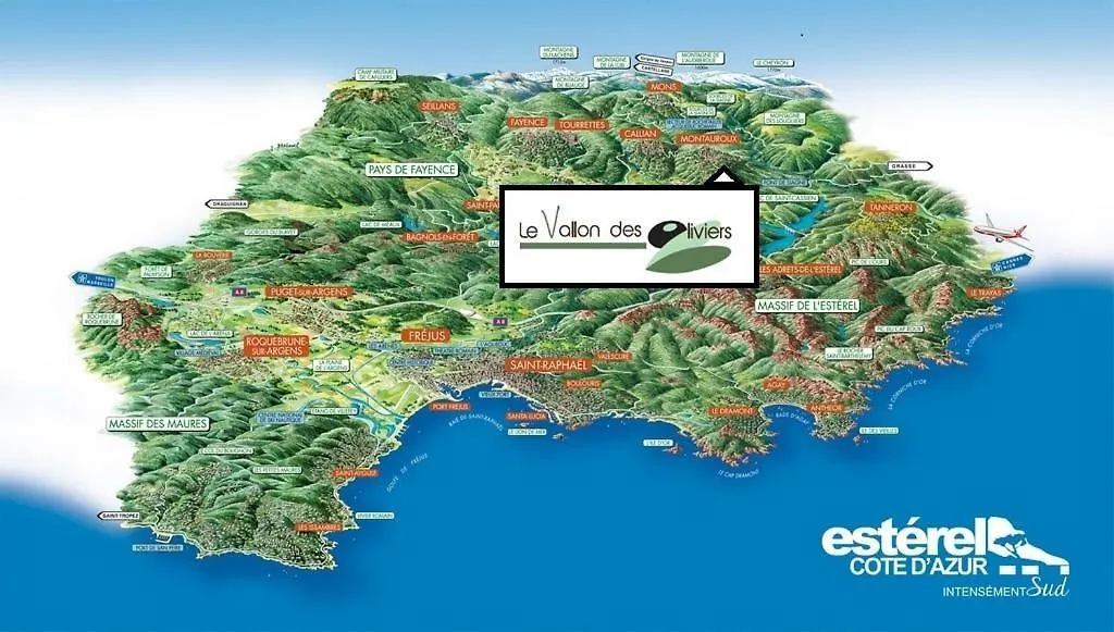 Le Vallon des Oliviers-1