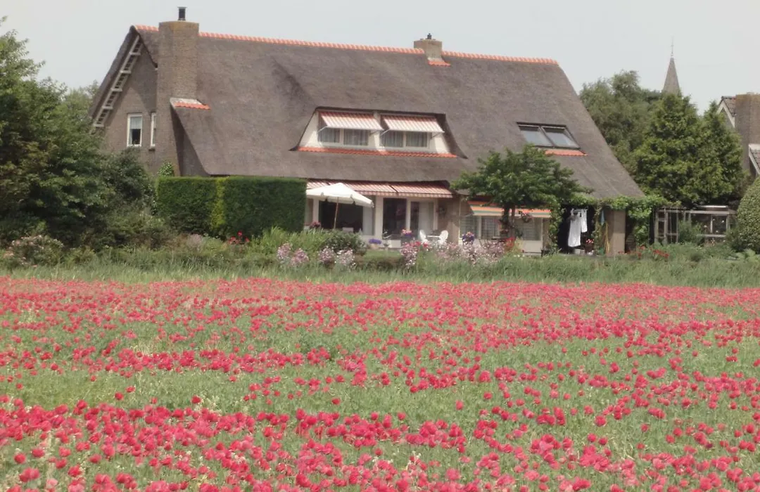 Riethove-1