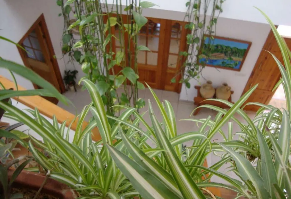 Casa Algaida-1