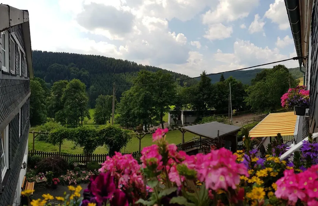 Pension Bergfrieden-1