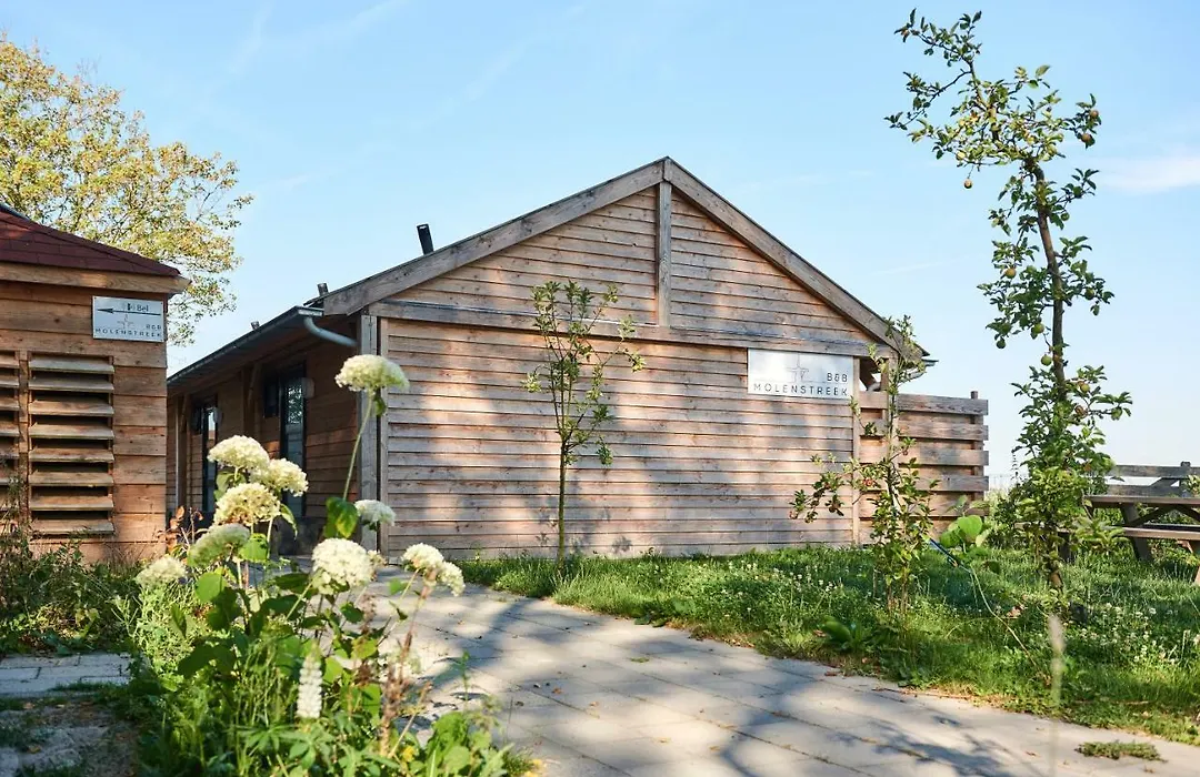 B&B Molenstreek-1
