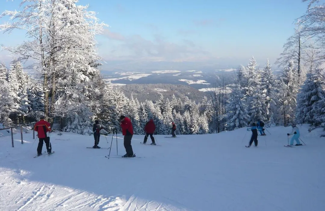 Pension und Ferienwohnungen König-1
